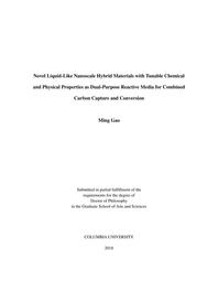 thumbnail for Gao_columbia_0054D_14543.pdf