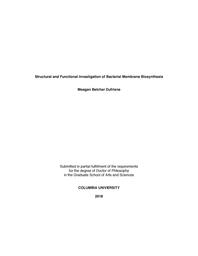 thumbnail for BelcherDufrisne_columbia_0054D_14948.pdf