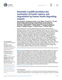 thumbnail for elife-33572-v2.pdf