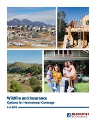 thumbnail for Wildfire and Insurance FINAL.pdf