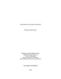 thumbnail for Florence_columbia_0054D_14403.pdf