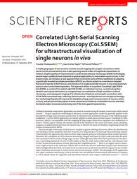 thumbnail for s41598-018-32820-5.pdf