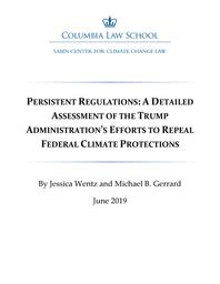 thumbnail for Wentz-and-Gerrard-2019-06-Persistent-Regulations.pdf