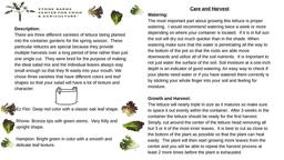 thumbnail for LEAF Education samples '23-'24.pptx