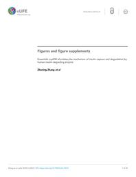 thumbnail for elife-33572-figures-v2.pdf