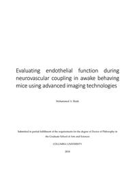 thumbnail for Shaik_columbia_0054D_14488.pdf