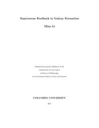 thumbnail for Li_columbia_0054D_14057.pdf