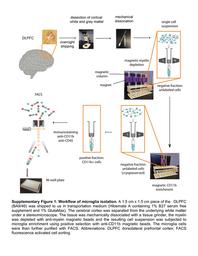 thumbnail for 41467_2018_2926_MOESM1_ESM.pdf