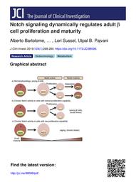 thumbnail for J Clin Invest 2019 Bartolomé.pdf