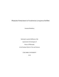 thumbnail for Bendebury_columbia_0054D_14545.pdf