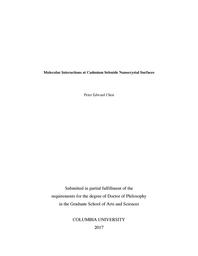 thumbnail for Chen_columbia_0054D_14131.pdf