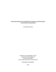 thumbnail for Ahmad_columbia_0054D_15612.pdf