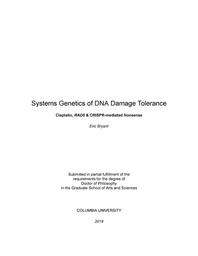 thumbnail for Bryant_columbia_0054D_15010.pdf