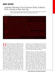 thumbnail for longterm_recovery_from_hurricane_sandy_evidence_from_a_survey_in_new_york_city.pdf
