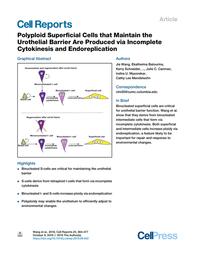 thumbnail for 1-s2.0-S2211124718314876-main.pdf