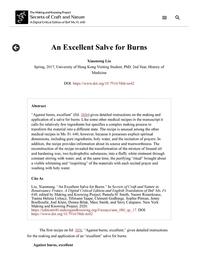 thumbnail for ann_080_sp_17_Liu_SalveforBurns.pdf