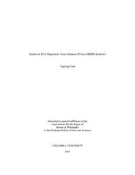 thumbnail for Chen_columbia_0054D_15190.pdf