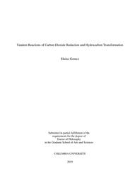 thumbnail for Gomez_columbia_0054D_15313.pdf