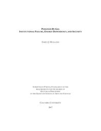 thumbnail for Holland_columbia_0054D_14051.pdf