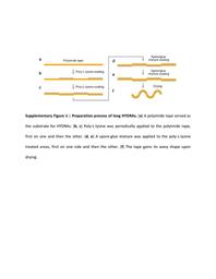 thumbnail for 41467_2015_BFncomms8346_MOESM1273_ESM.pdf