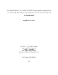 thumbnail for gsas-dissertations-000607.pdf