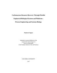 thumbnail for Vajpeyi_columbia_0054D_14124.pdf