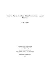 thumbnail for Elbaz_columbia_0054D_14141.pdf