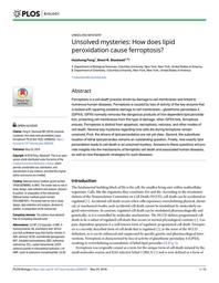 thumbnail for journal.pbio.2006203.pdf