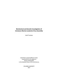 thumbnail for Tinaztepe_columbia_0054D_14261.pdf