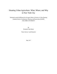 thumbnail for Cohn-MartinElizabeth_GSAPPUP_2017_Thesis.pdf