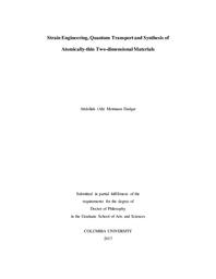 thumbnail for MotmaenDadgar_columbia_0054D_14268.pdf