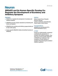 thumbnail for Fossati_Neuron2016.pdf