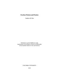 thumbnail for Pun_columbia_0054D_15377.pdf