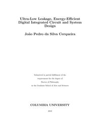 thumbnail for daSilvaCerqueira_columbia_0054D_15583.pdf