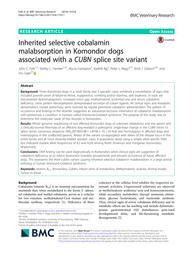 thumbnail for 12917_2018_Article_1752.pdf