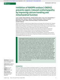 thumbnail for Inhibition of NADPH oxidase 2 (NOX2) prevents sepsis-induced cardiomyopathy by improving calcium handling and mitochondrial function JCI Insight 2017.pdf