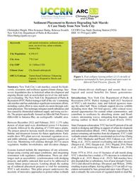 thumbnail for NYC_NbS_CS.pdf