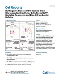 thumbnail for Huntington's Disease iPSC-Derived Brain Microvascular Endothelial Cells Reveal WNT-Mediated Angiogenic and Blood-Brain Barrier Deficits.pdf