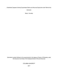 thumbnail for Avrutsky_columbia_0054D_14192.pdf