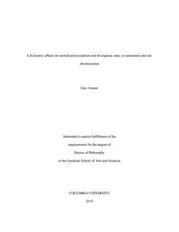 thumbnail for Amster_columbia_0054D_14987.pdf