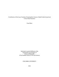 thumbnail for gsas-dissertations-000170.pdf