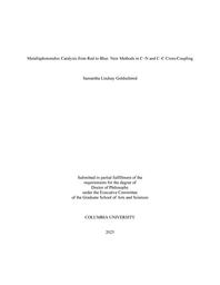 thumbnail for Goldschmid_columbia_0054D_19333.pdf