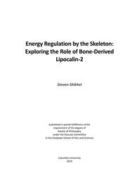 thumbnail for Shikhel_columbia_0054D_15102.pdf