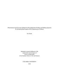 thumbnail for Erturk_columbia_0054D_14651.pdf