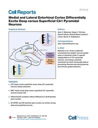 thumbnail for Medial and Lateral Entorhinal Cortex Differentially Excite Deep versus Superficial CA1 Pyramidal Neurons.pdf