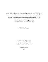 thumbnail for Annavajhala_columbia_0054D_13842.pdf