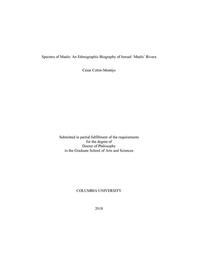 thumbnail for ColonMontijo_columbia_0054D_14566.pdf