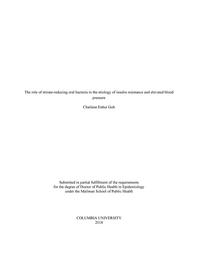 thumbnail for Goh_cumc.columbia_0054E_10045.pdf