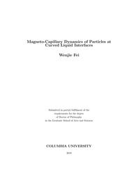 thumbnail for Fei_columbia_0054D_15314.pdf