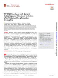 thumbnail for Mol Cell Biol 2017 Bartolomé.pdf